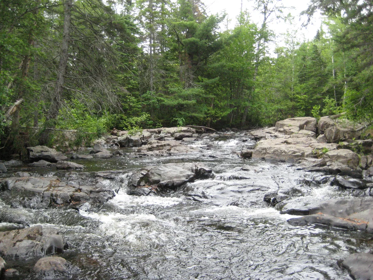 Rocks on the river