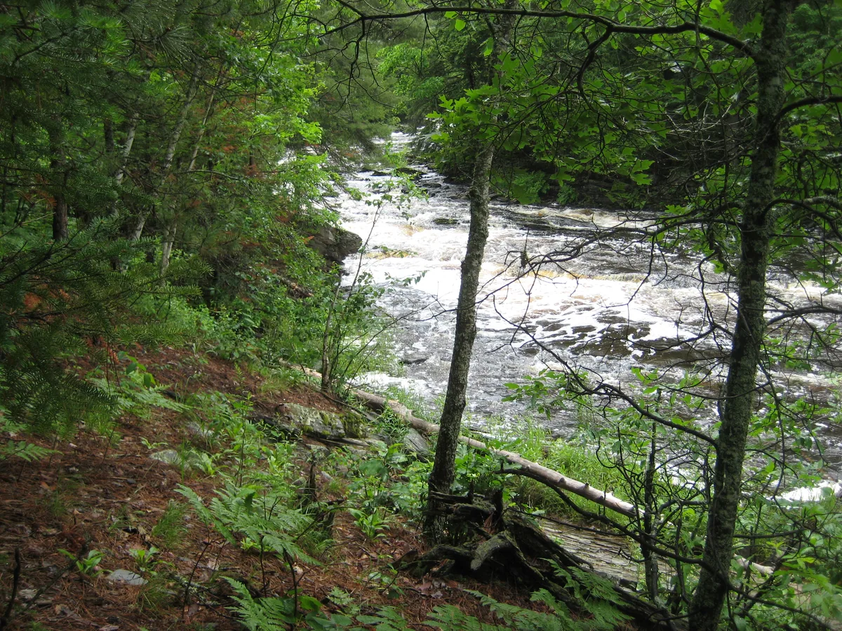 Rushing Sturgeon River