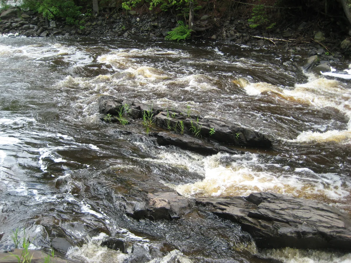 Swollen river water
