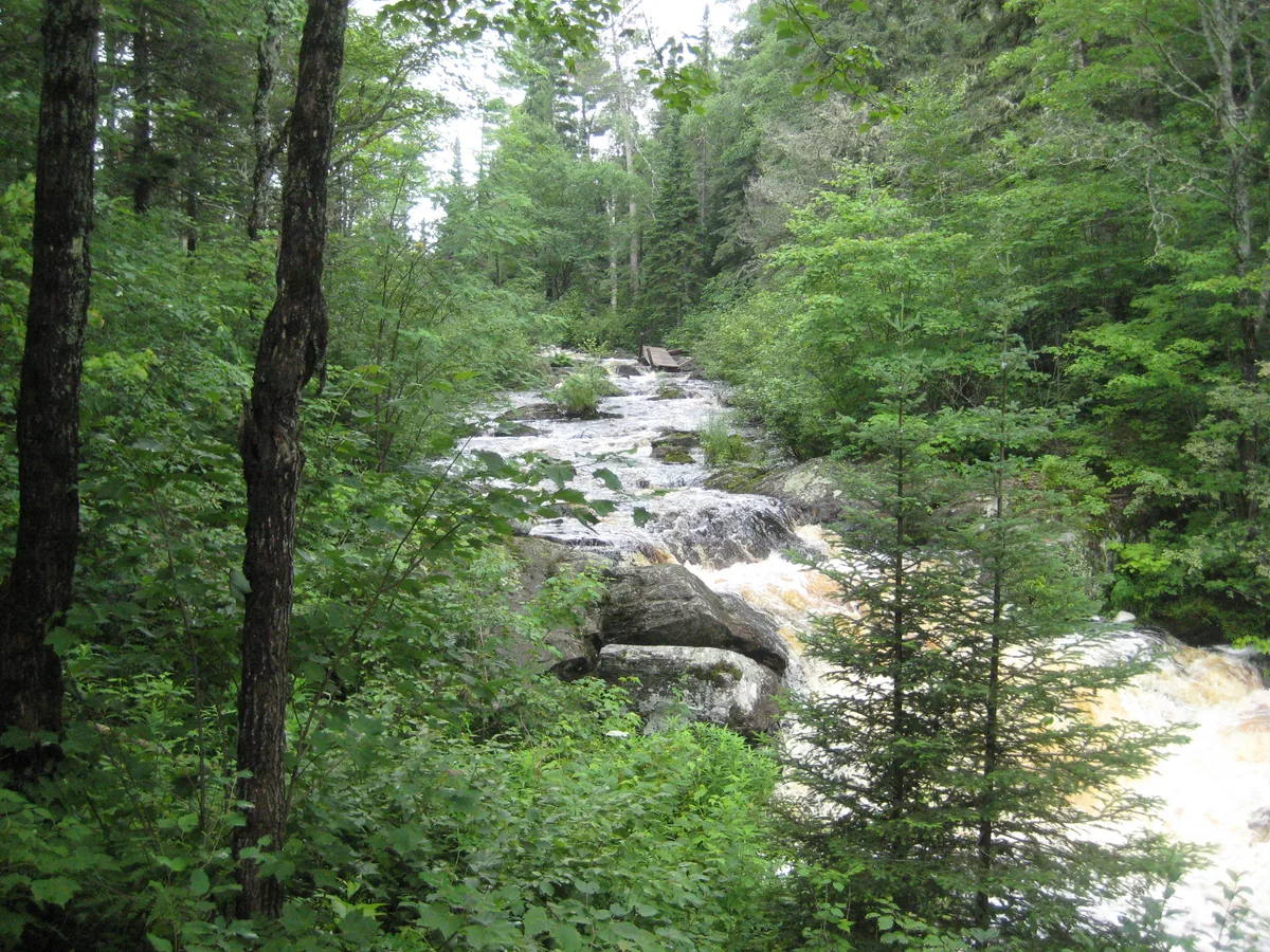 Upper drop behind the pines