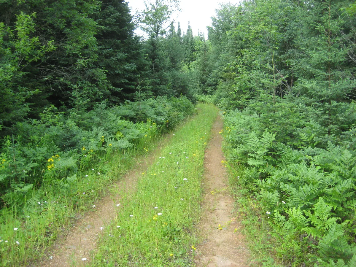 A real two track