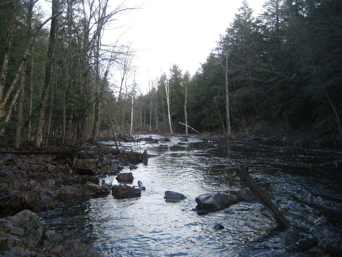 The dark downstream swamp