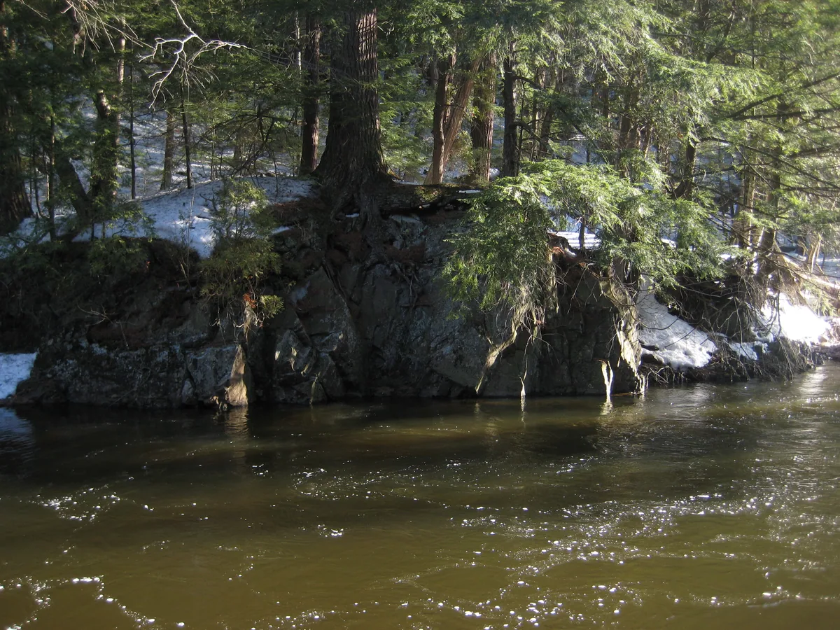 Green, murky water of Dead River