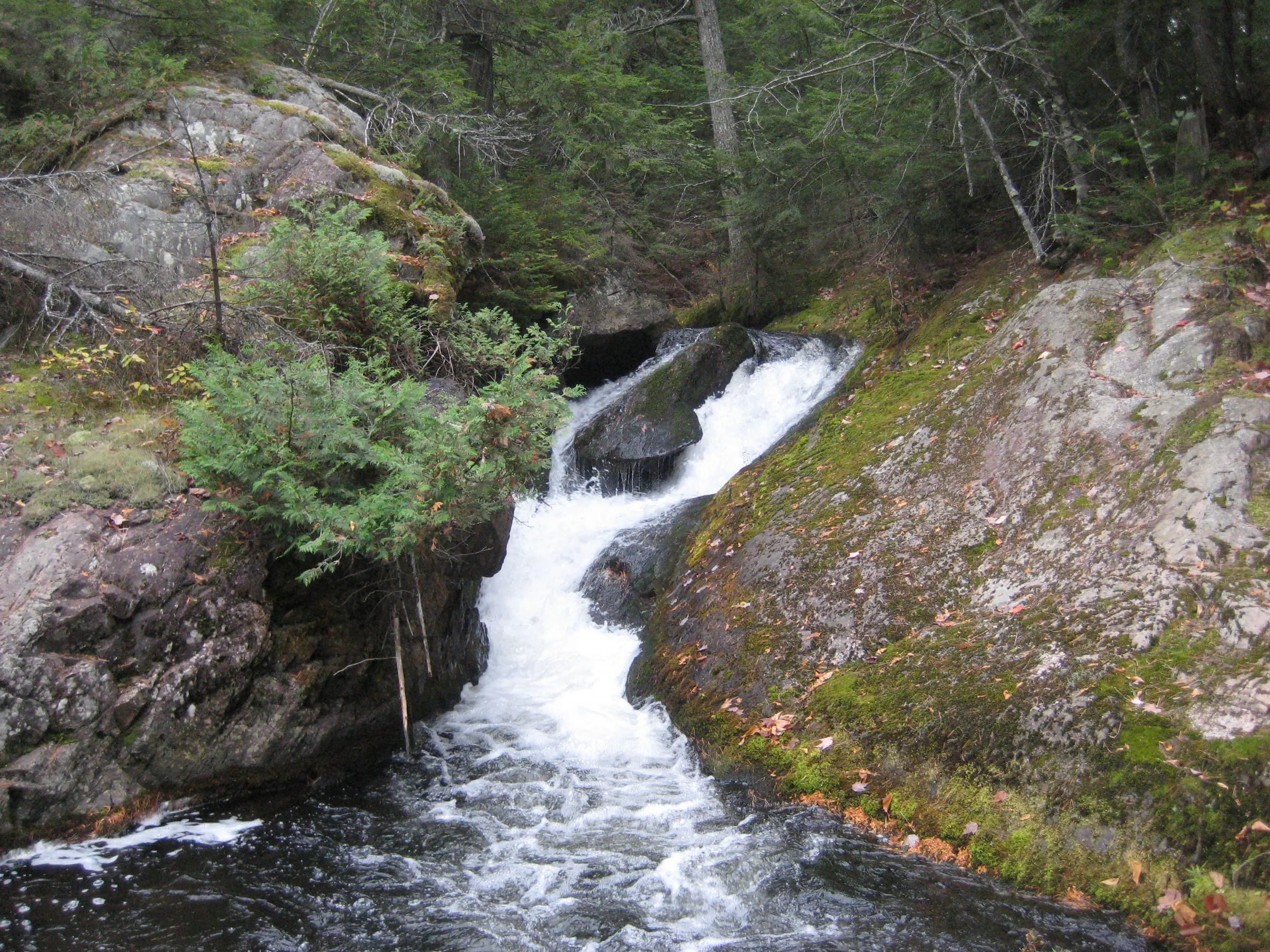 Frothy white squeezed between rocks