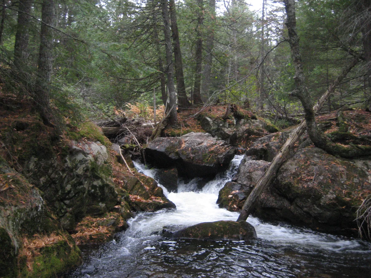 Twisted upstream falls