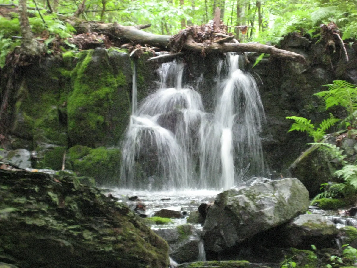 Fallen logs across the lip of the falls, water spreading over mossy rock