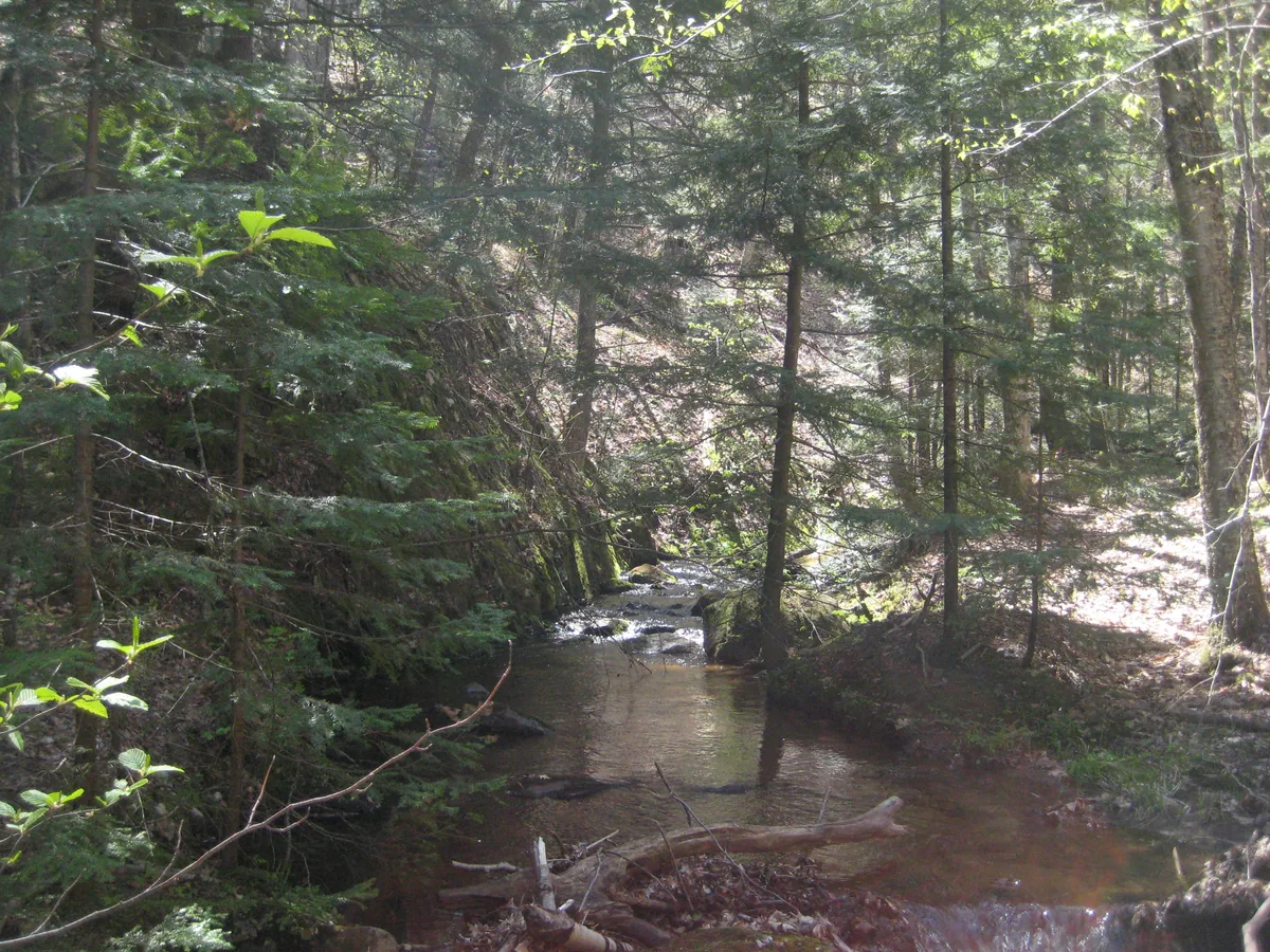Steep river bed around the river