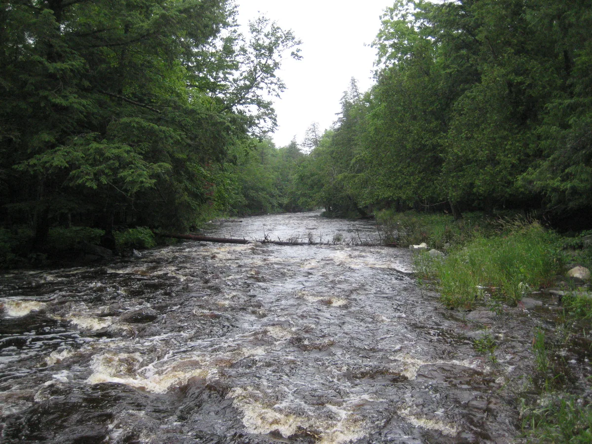 Looking downstream from Upper Falls