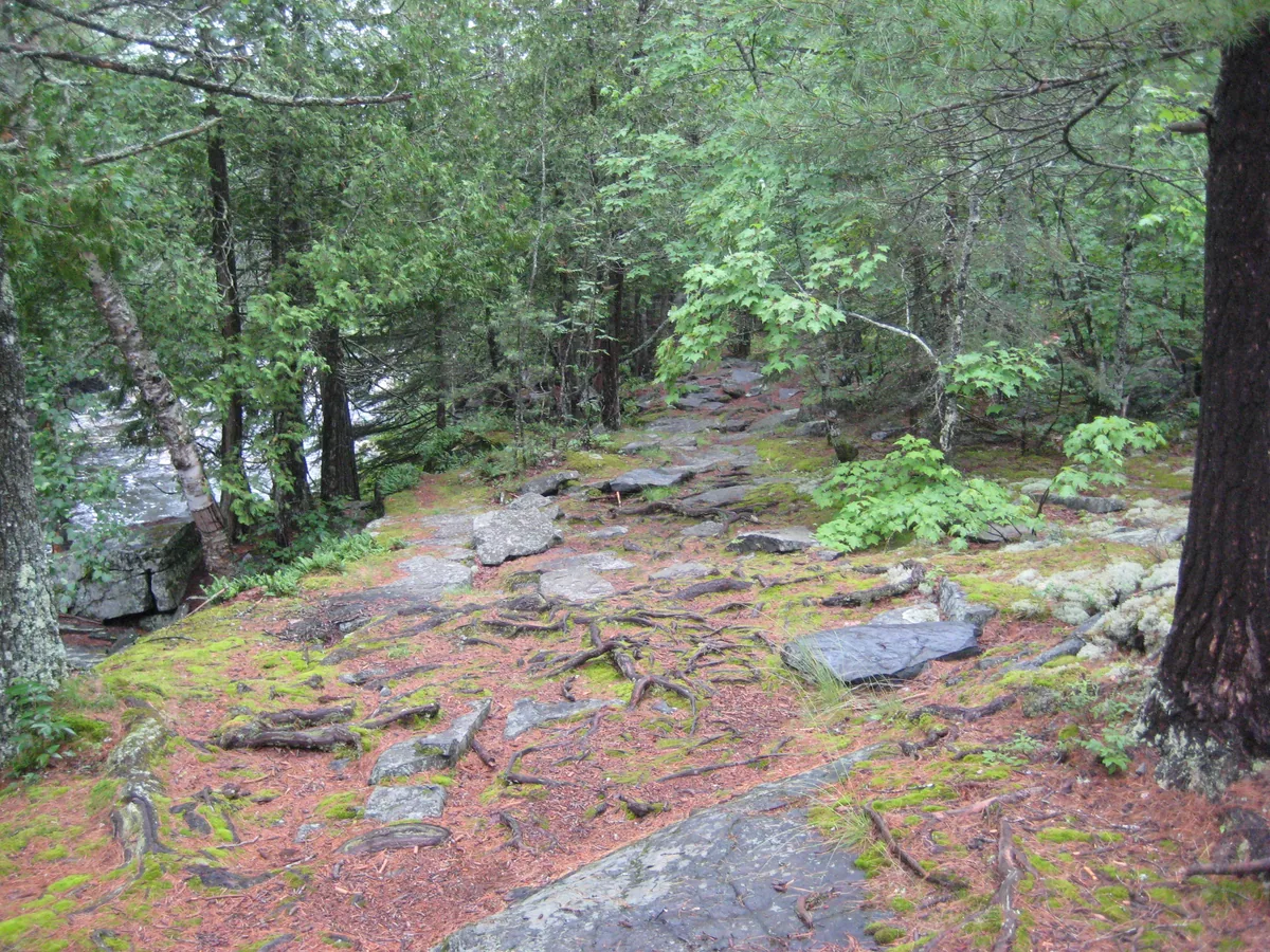 Damp riverside path