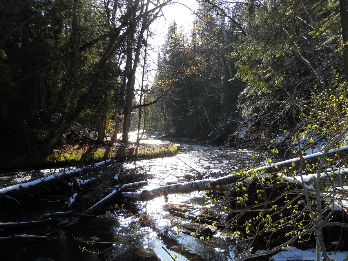 Sun shining over the downriver waters