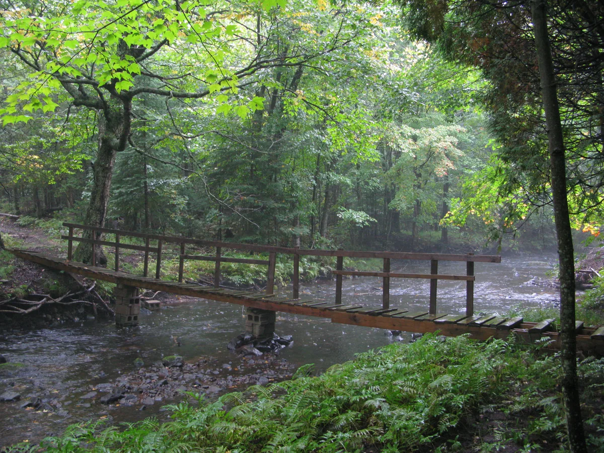 Questionable footbridge over the wide creek