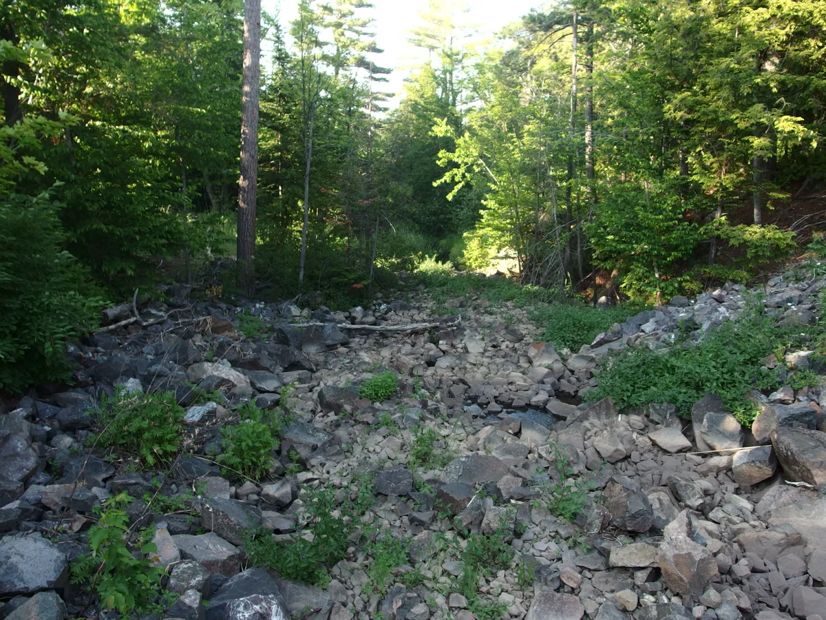 Rocky tumble downstream