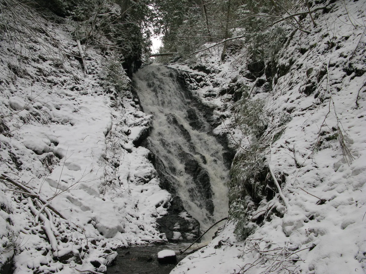 Snow dappled drop