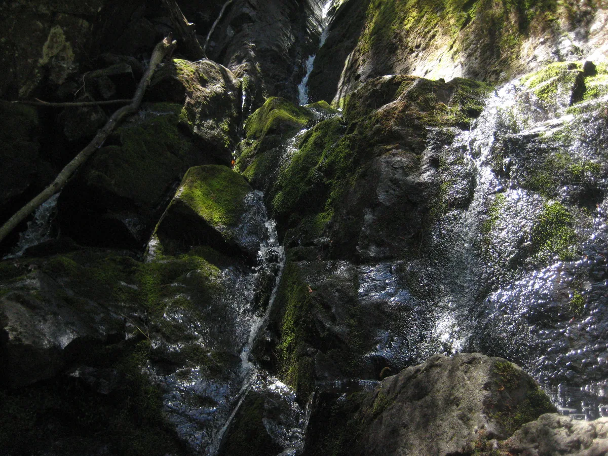 Dancing over the damp rocks