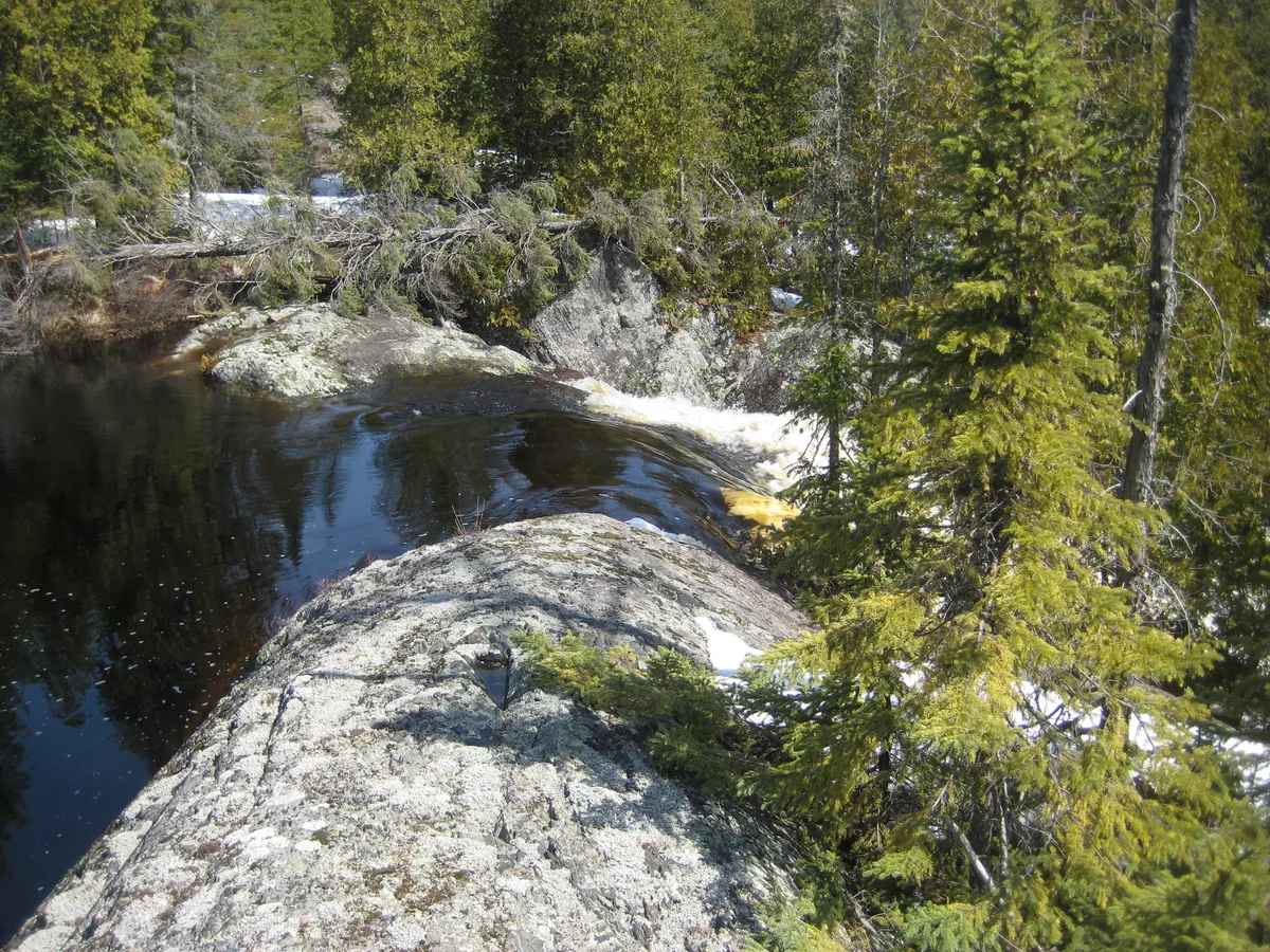 Cresting swamp