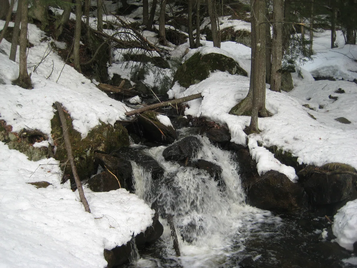 Some of the lower drops