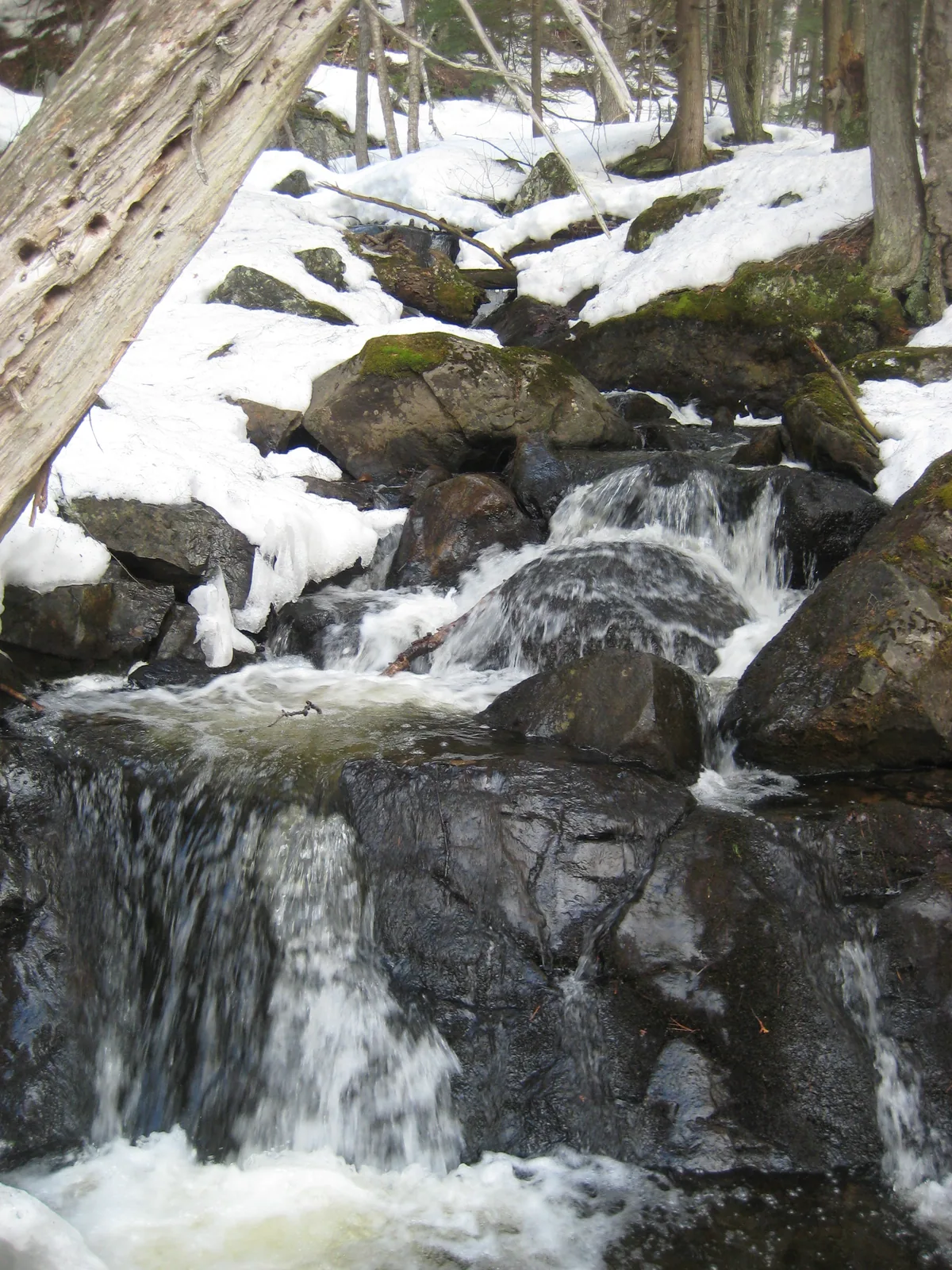 Tumbling cascade over grey rock