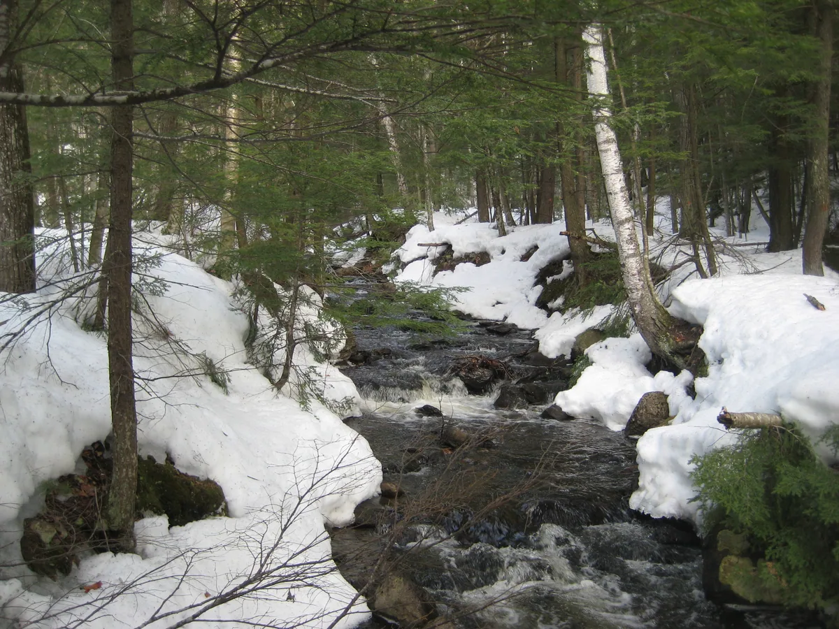 Wide creek surrounded by snow