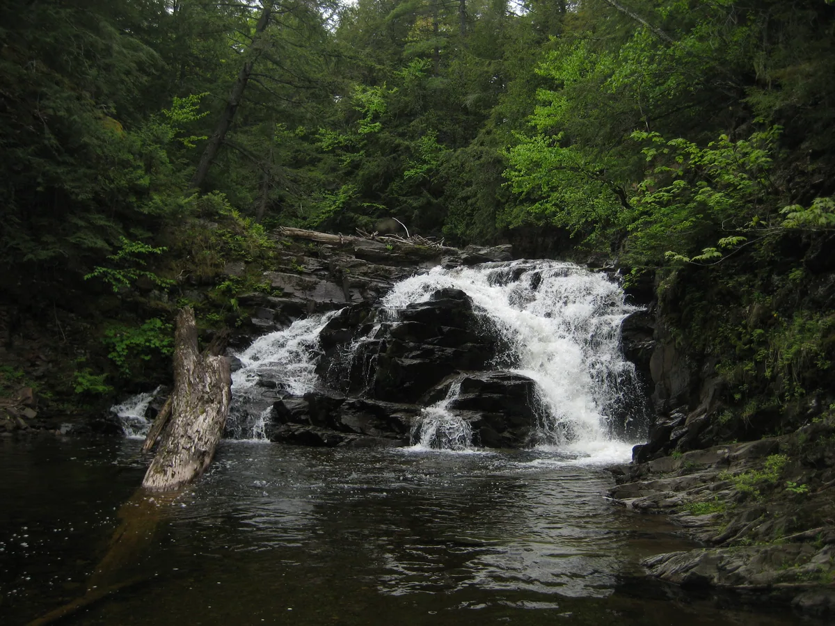 West Branch Huron River Falls