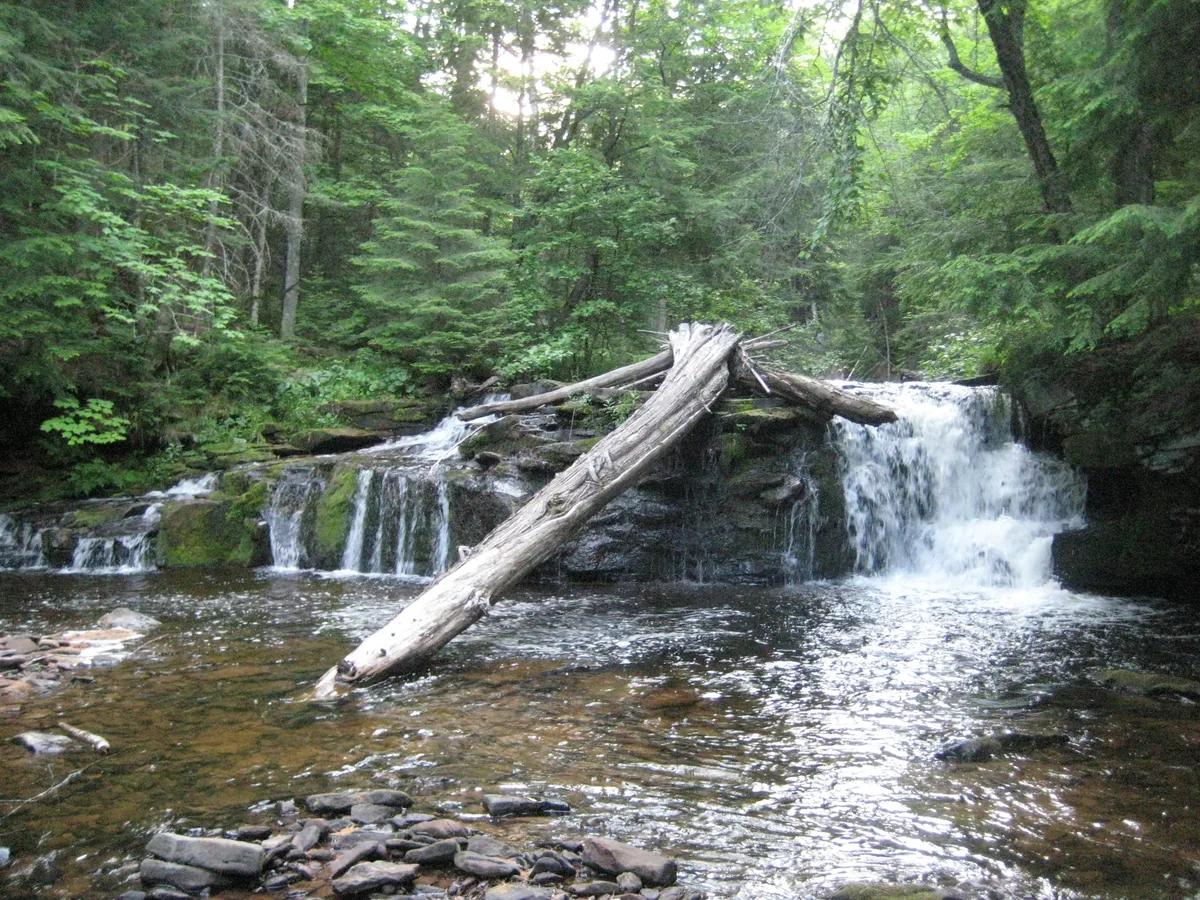 Falls with a log