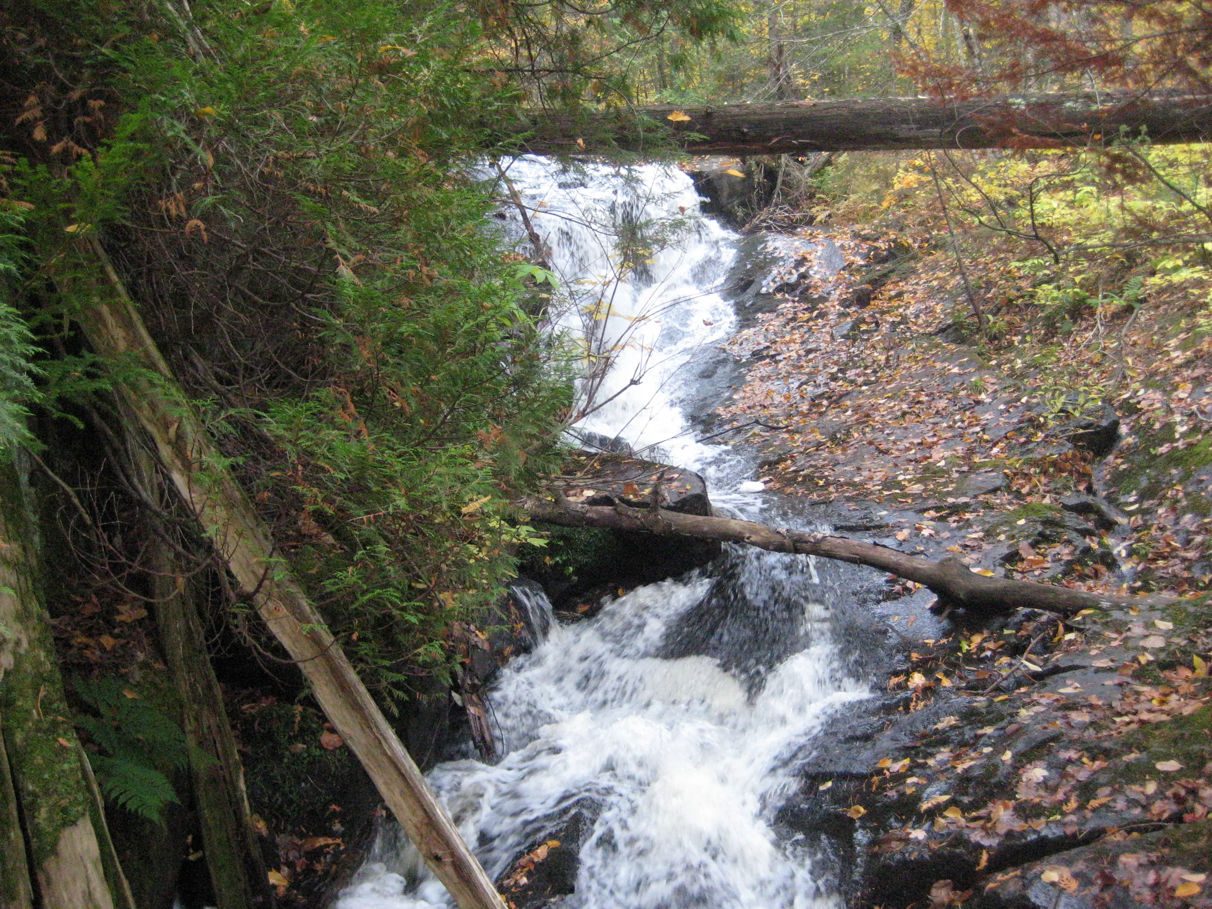 Foamy cascading water under the log
