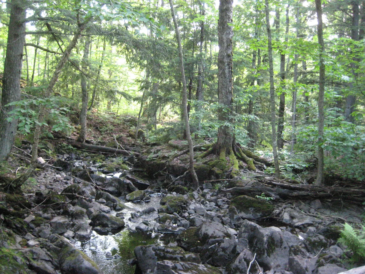 Trickling stream below the falls