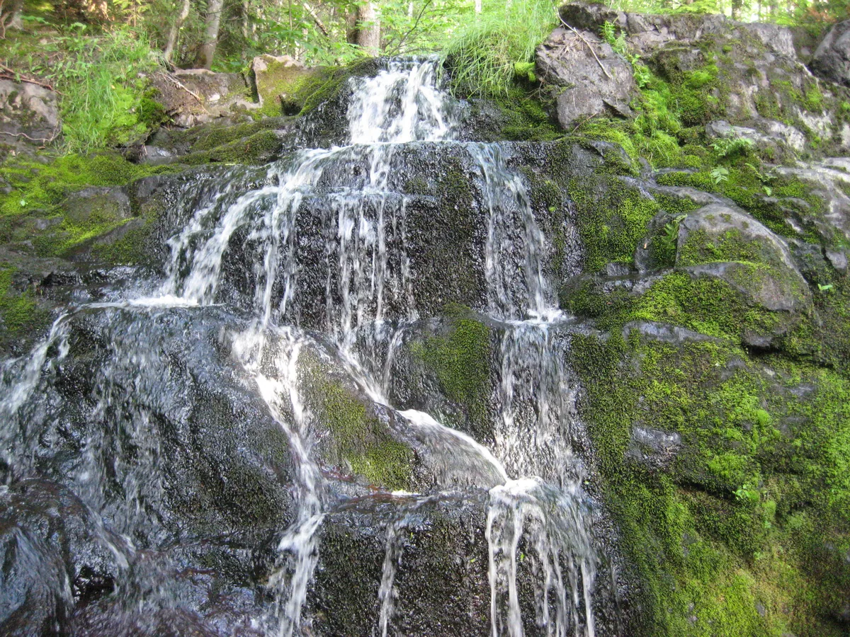Trickling water down the mossy rock formation